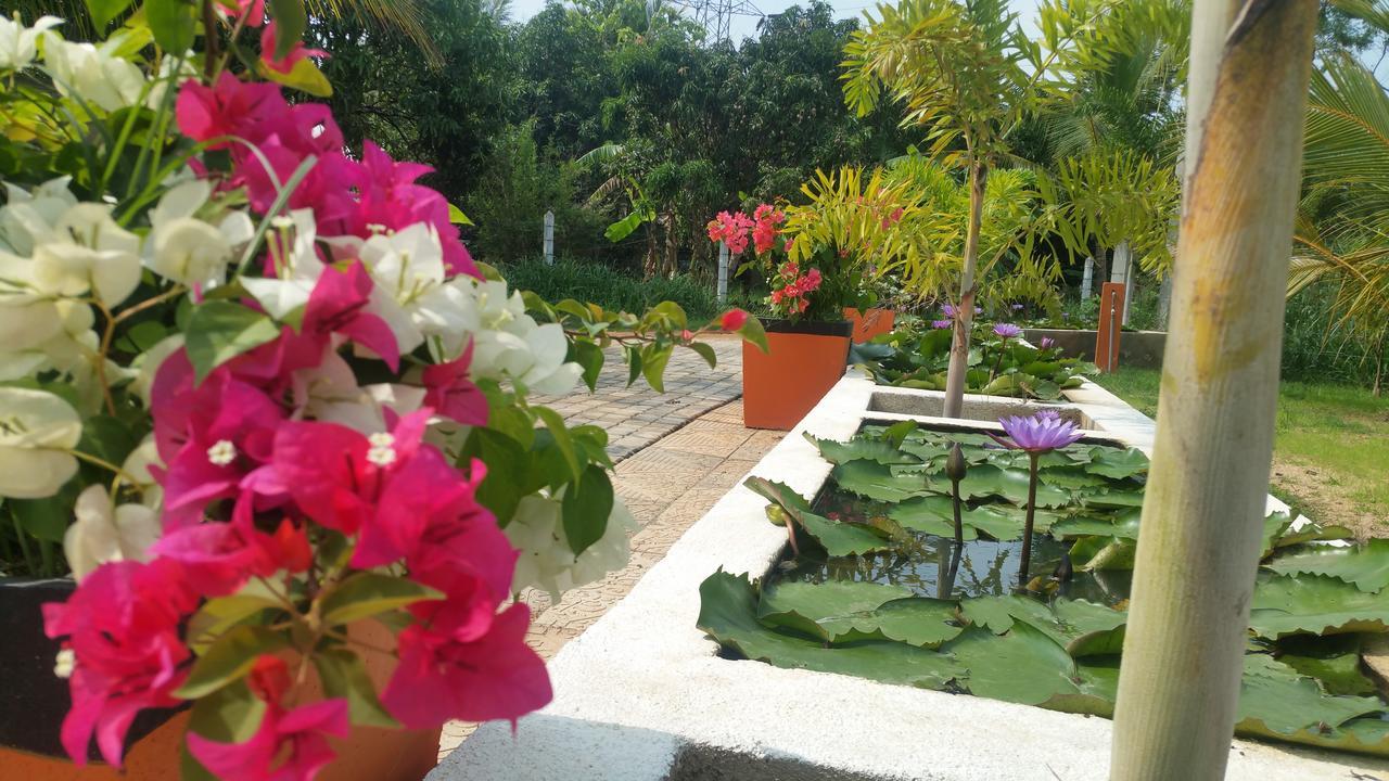 Miheen Hotel & Resort - Anuradhapura Mihintale Exteriör bild